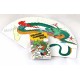 Carte per ventagli Drago Dragon fanning deck